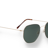 DMS 1004S 01