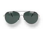 DMS 1006S 01