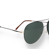 DMS 1006S 01