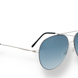 DMS 1006S 02